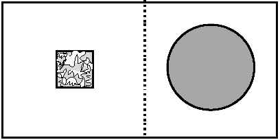 wpe12.jpg (8861 bytes)