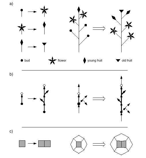 wpe2A.jpg (21192 bytes)