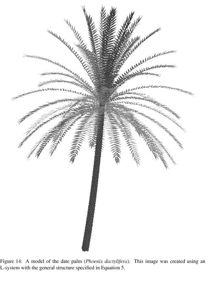 wpe31.jpg (63274 bytes)